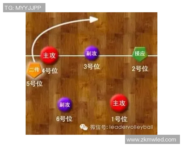 武汉排球队进攻战术解析与球队表现的深度剖析