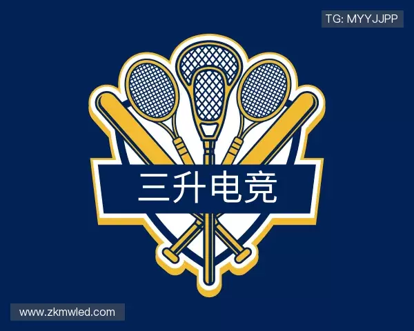 认识三升电竞